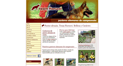 Desktop Screenshot of fiorucci.es